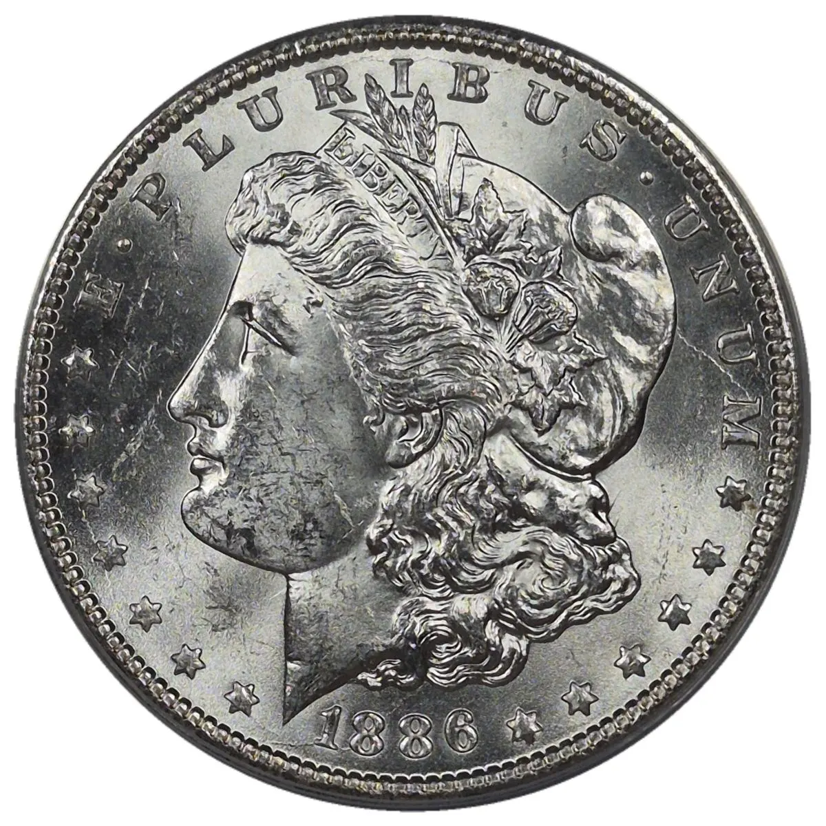 1886-$1-Morgan-Dollar-#36---TPG-24-Of-40